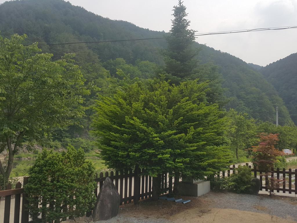 Pyeongchang River House エクステリア 写真