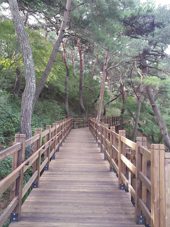 Pyeongchang River House エクステリア 写真