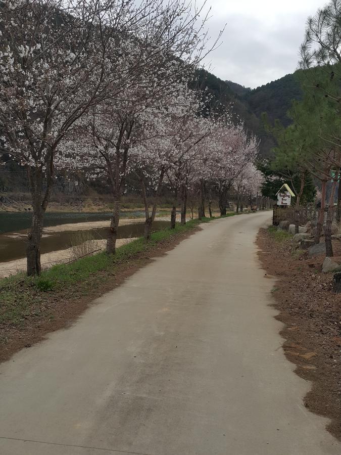 Pyeongchang River House エクステリア 写真
