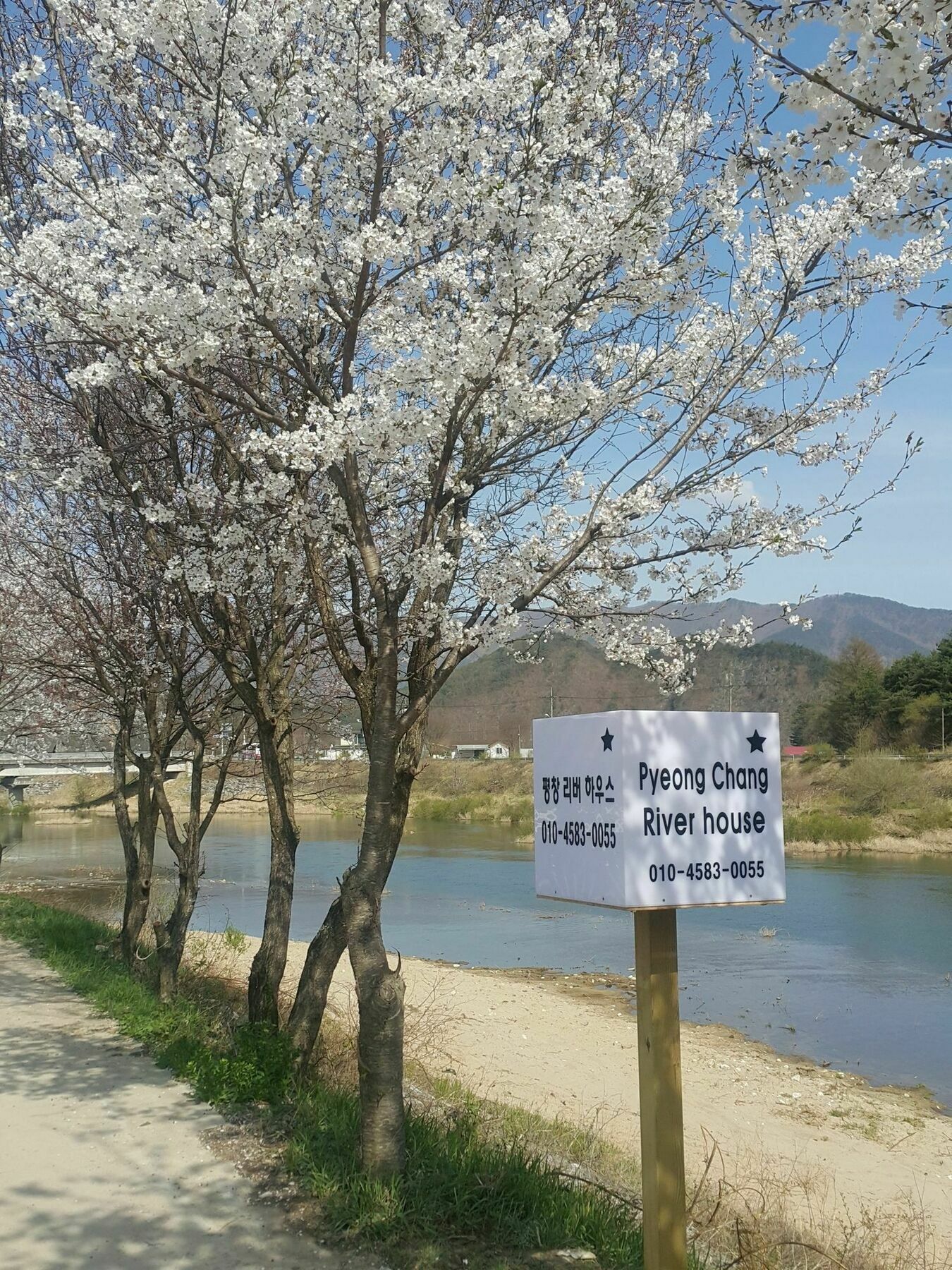 Pyeongchang River House エクステリア 写真